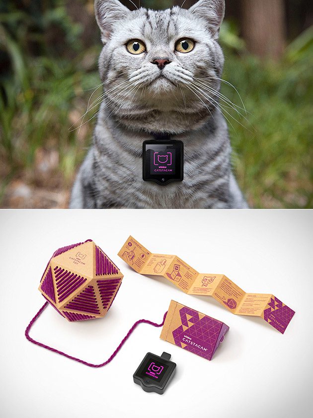 catstacam-wearable-cat-camera