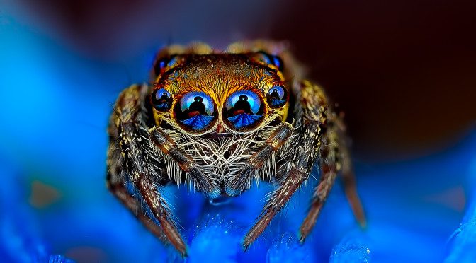 The true Nature , Science photos by Jimmy Kong
