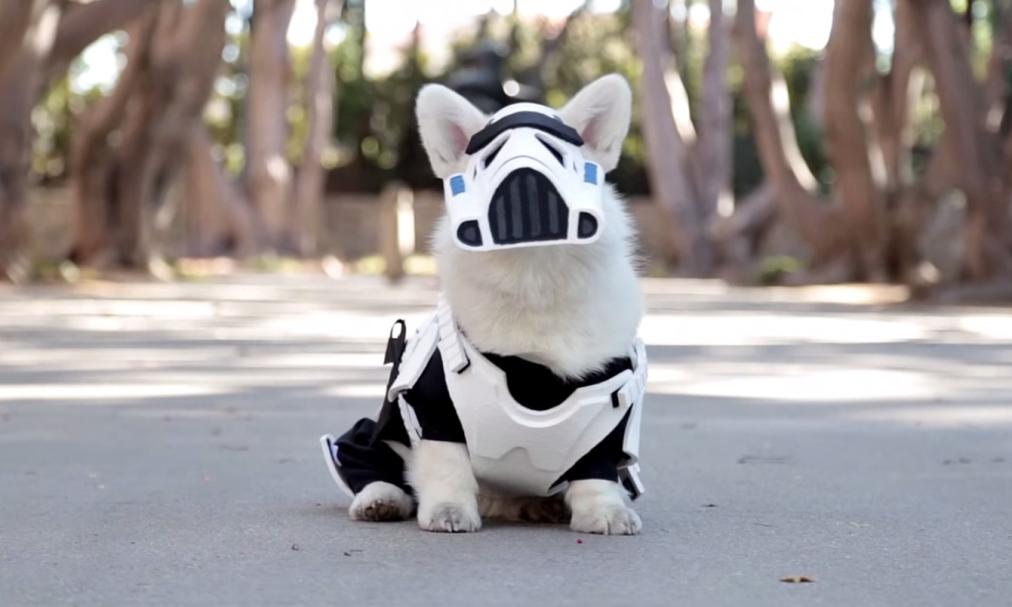 Stormtrooper Corgi