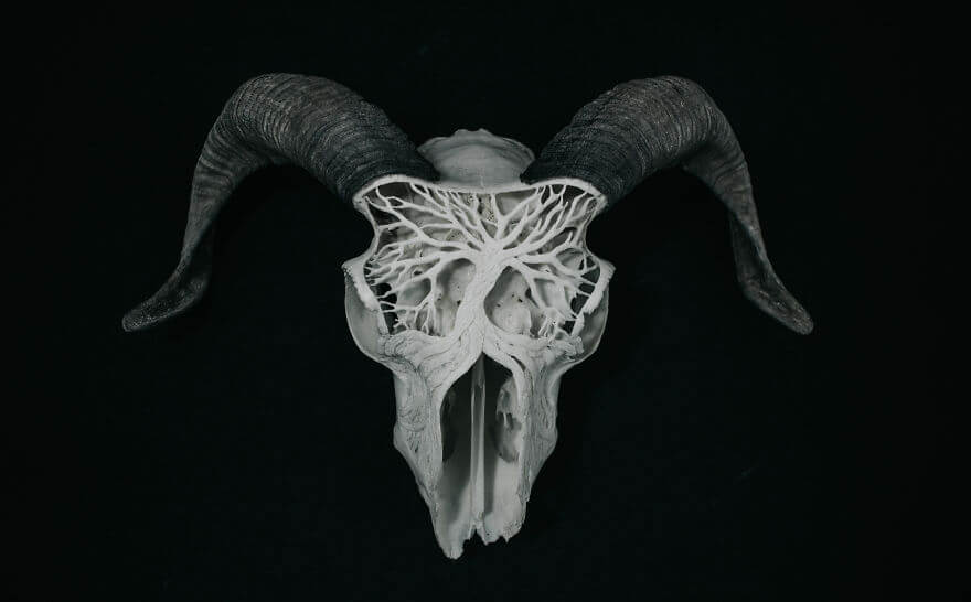 After Being Arrested For Drugs This Man Started Carving Skulls And Turned His Life Around