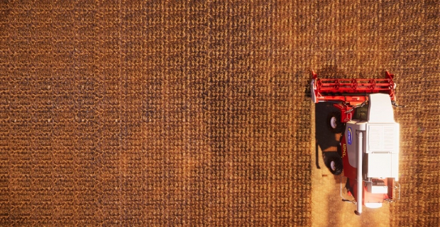 next week on xbox farm