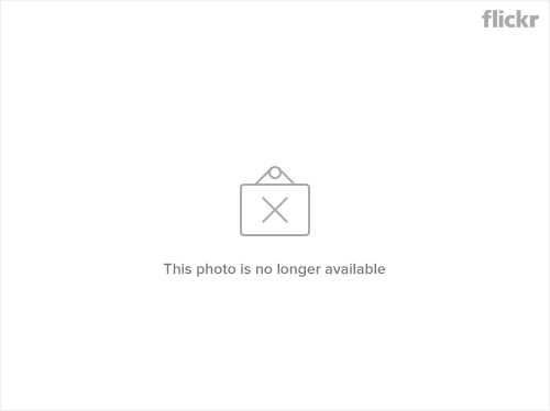 GIF_Co_Op_social