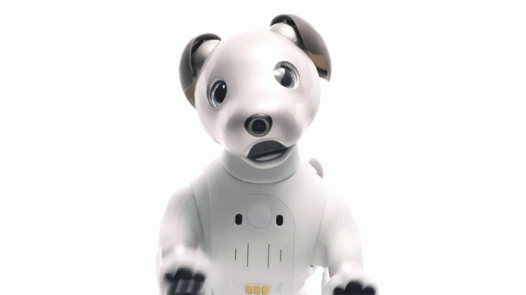 Sony aibo 2017