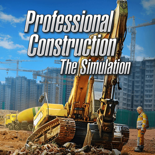 Professional Construction