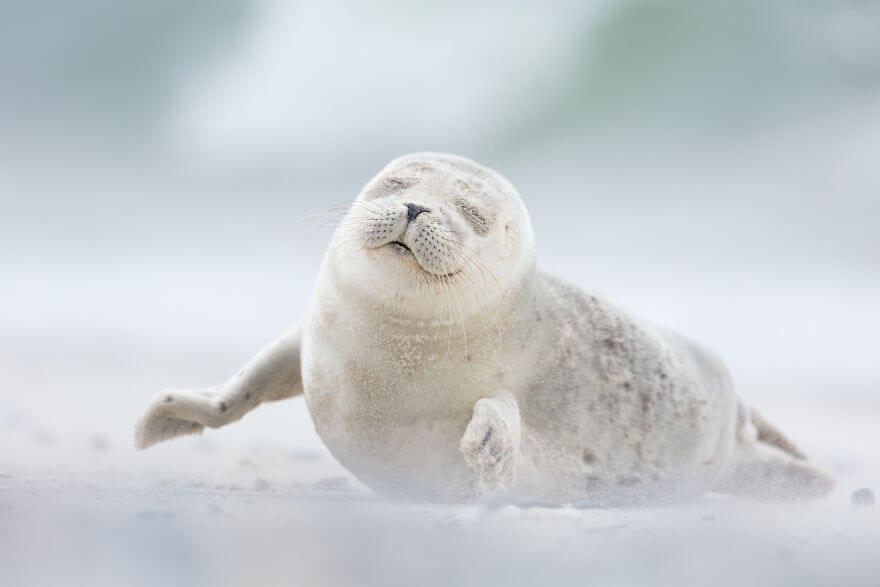 Finalists Of The 15th Smithsonian Photo Competition 2017 Have Been Announced, And They’re Stunning