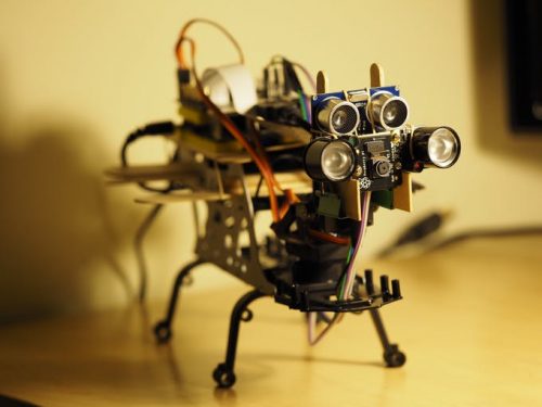 Petoi Raspberry Pi Robot Cat — skeleton prototype