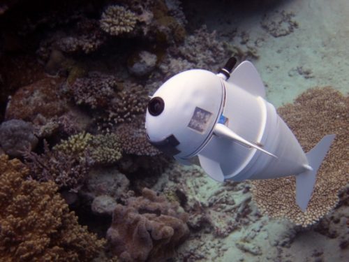 SoFi, the underwater robotic fish