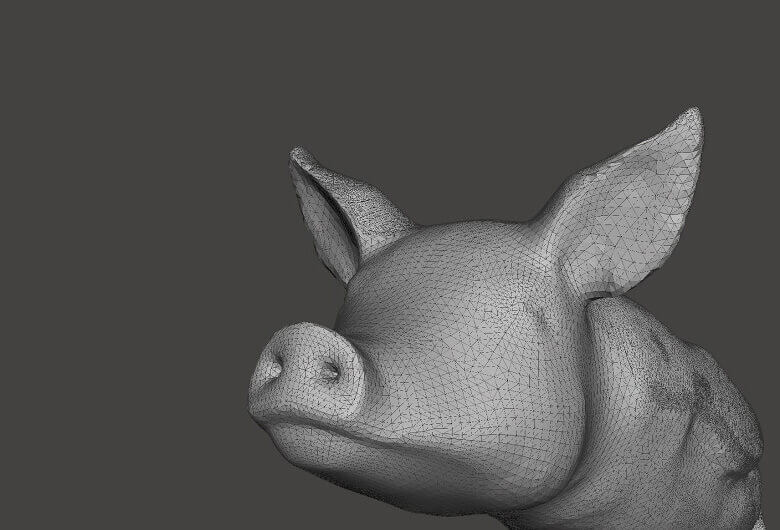 The fine trinaglar mesh is approximately encoding the surface geometry of this 3D model (source : i.materialize)