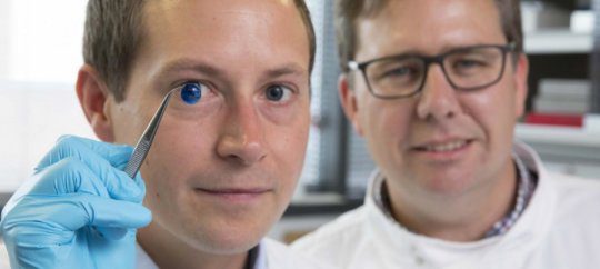 Newcastle University Researchers 3D Print Human Corneas