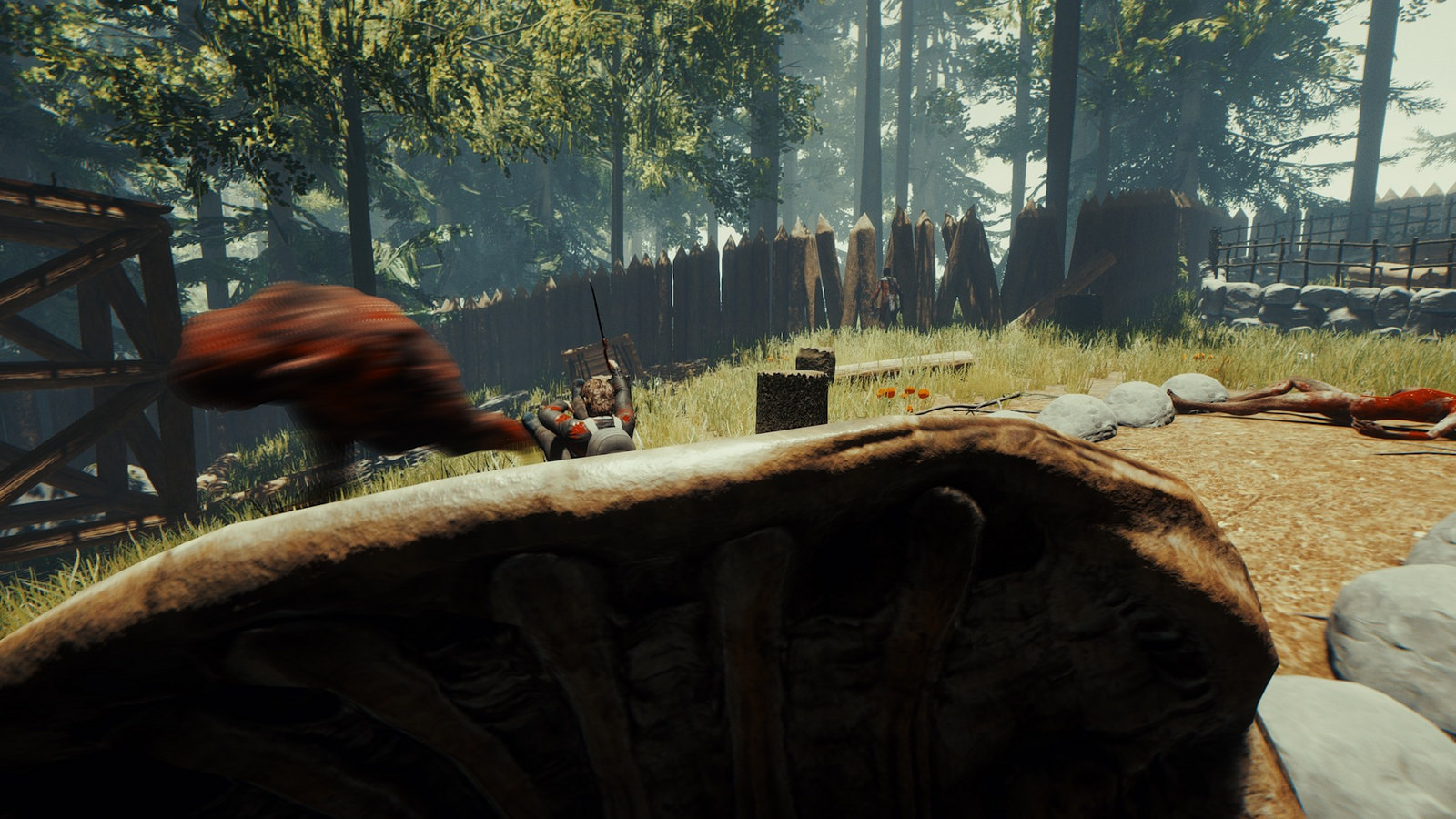The Forest