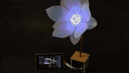 Android Things flower Raspberry Pi Smile recognition Expression Flower