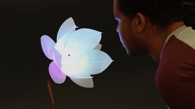 Android Things flower Raspberry Pi Smile recognition Expression Flower