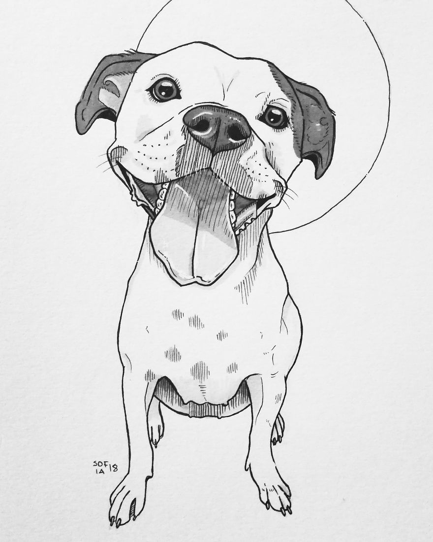 I Drew 30 Different Dogs In A 30-Day Challenge