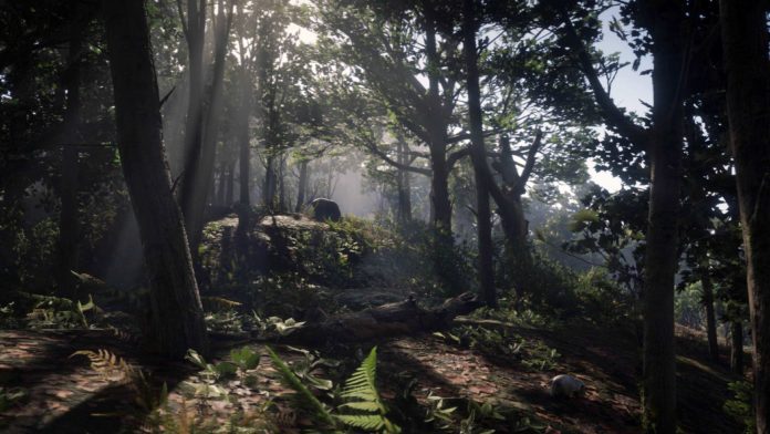 Another Big Red Dead Redemption 2 Mystery Has Been Solved