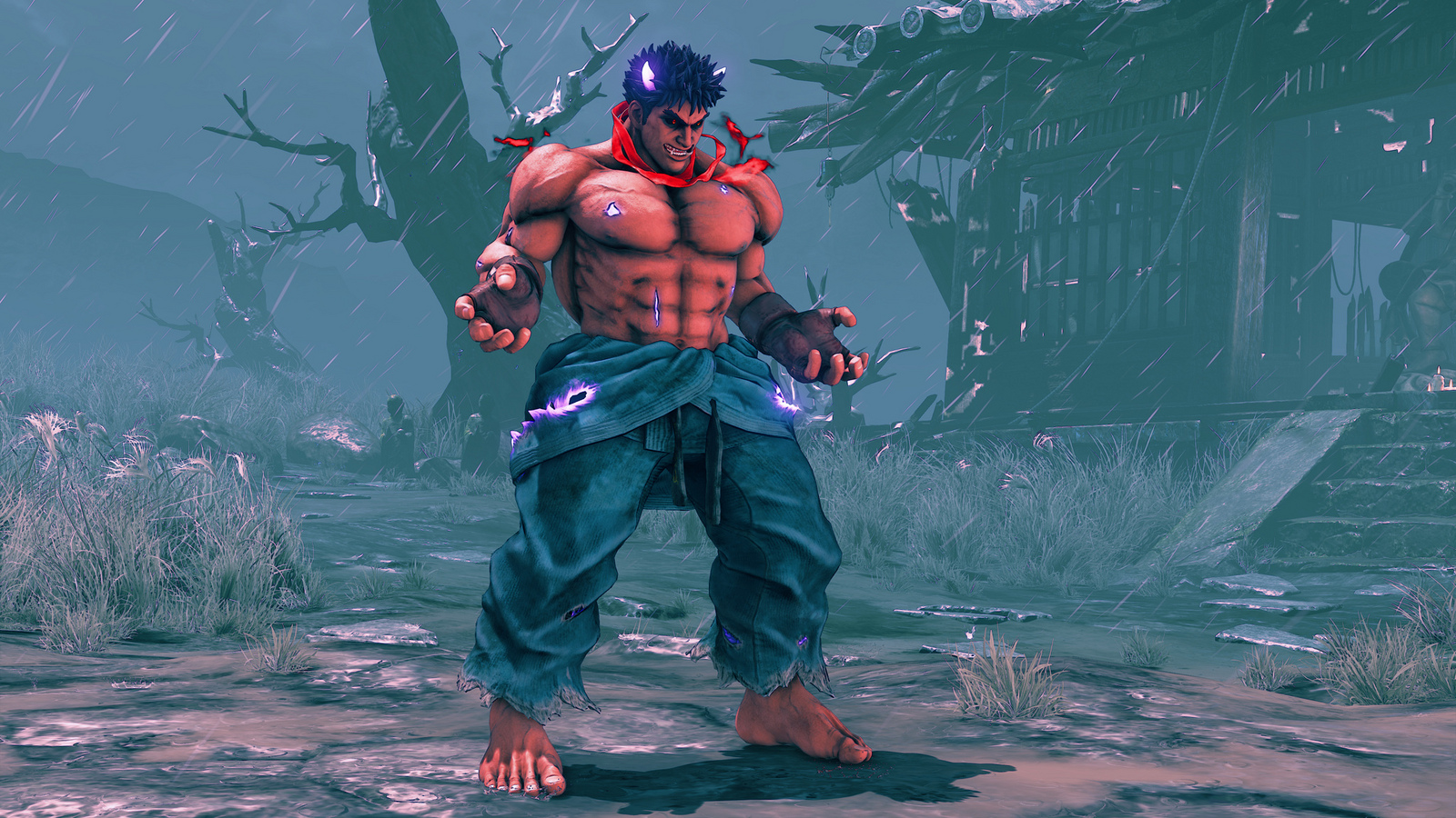 Street Fighter V Arcade Edition: Kage