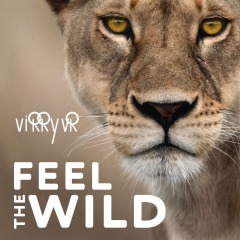 Virry VR: Feel the Wild