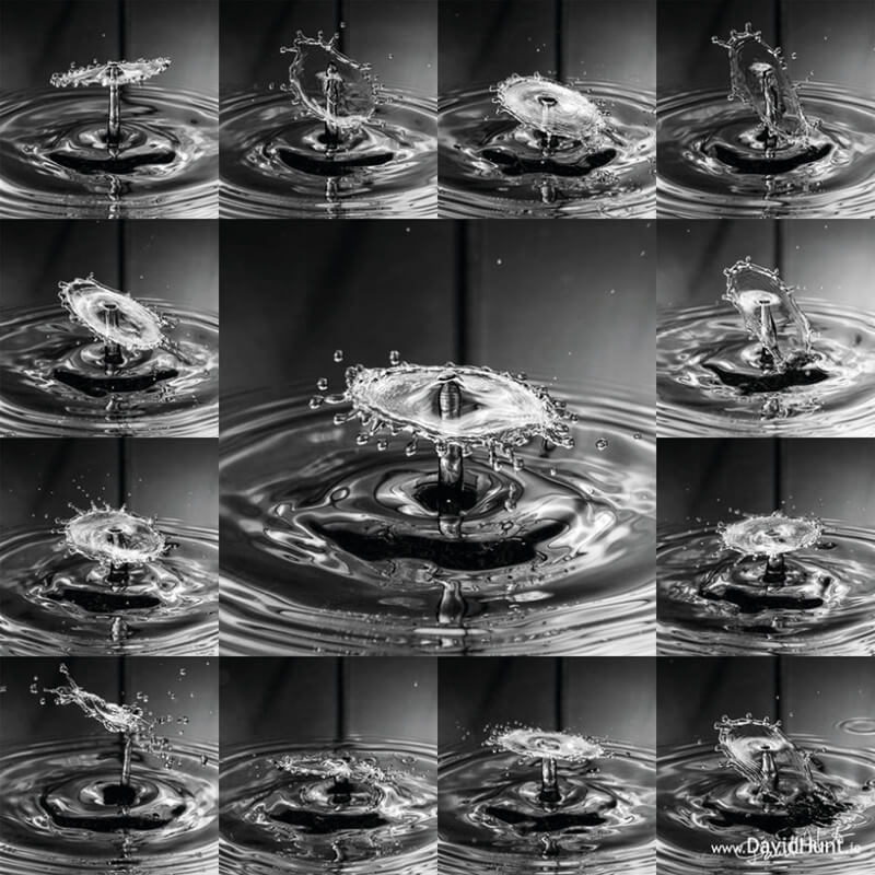 The Drop Pi takes incredible macro detail photos