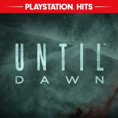 Until Dawn™