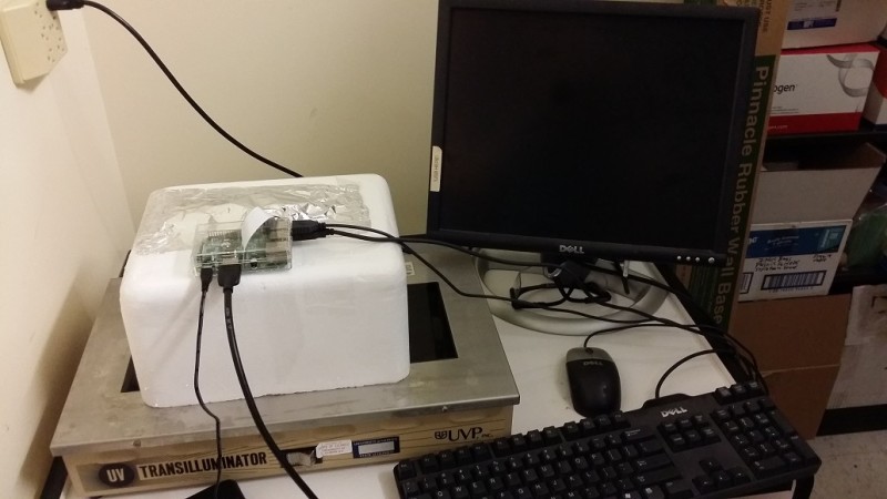The final DNA gel imager setup - a low-cost Raspberry Pi-based alternative to the commercial lab version that was unexpectedly out of action