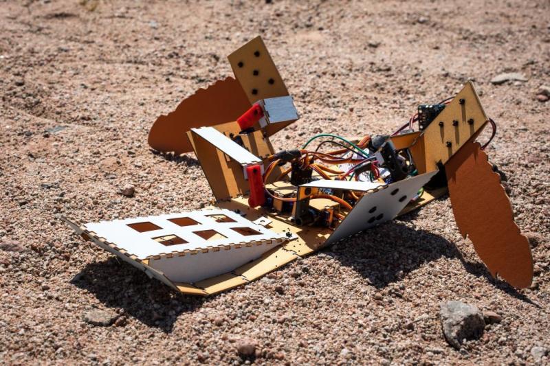 The C-Turtle landmine-clearing robot detects and safely detonates hidden explosives