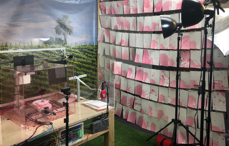 More than 2000 people have used The Swirl Machine to create their own wine-derived splash in the art world