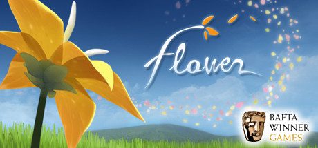 Daily Deal – Flower, 50% Off