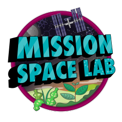 Astro Pi Mission Space Lab logo