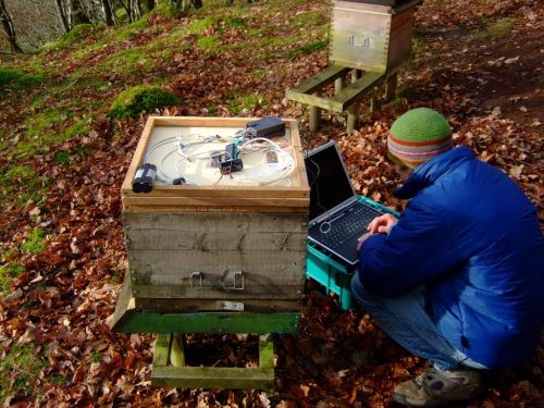 Glyn bent down infront of a hive checking the original BeeMonitor setup