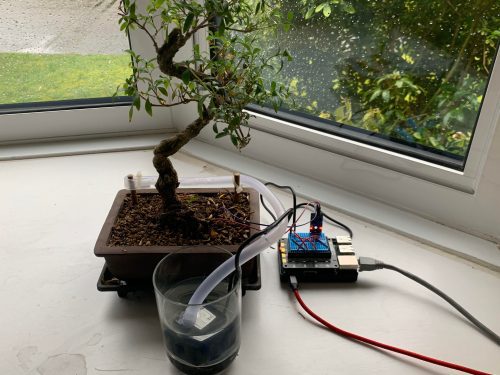 Raspberry Pi–powered bonsai watering system