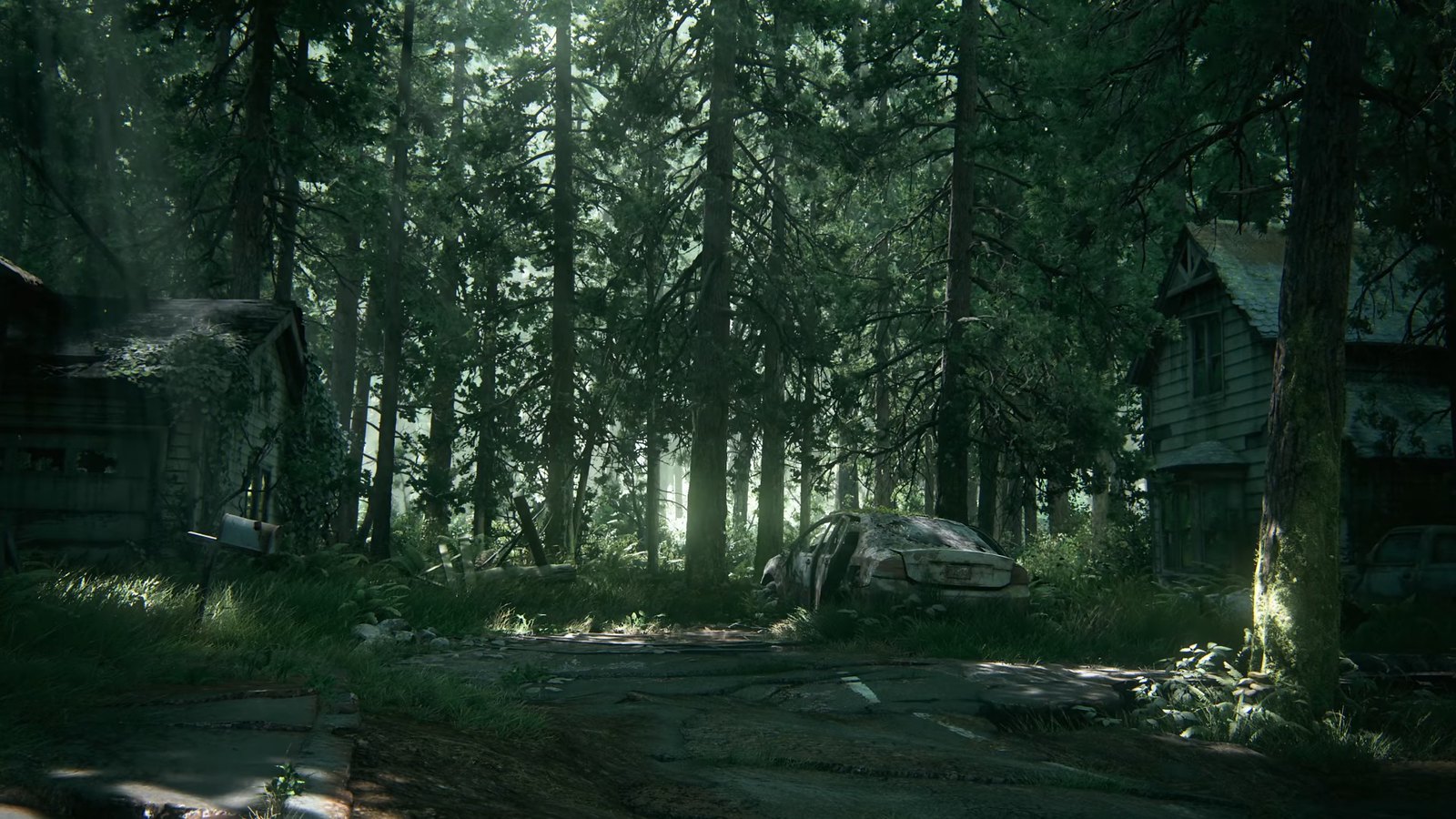 Video Conference Backgrounds - The Last of Us
