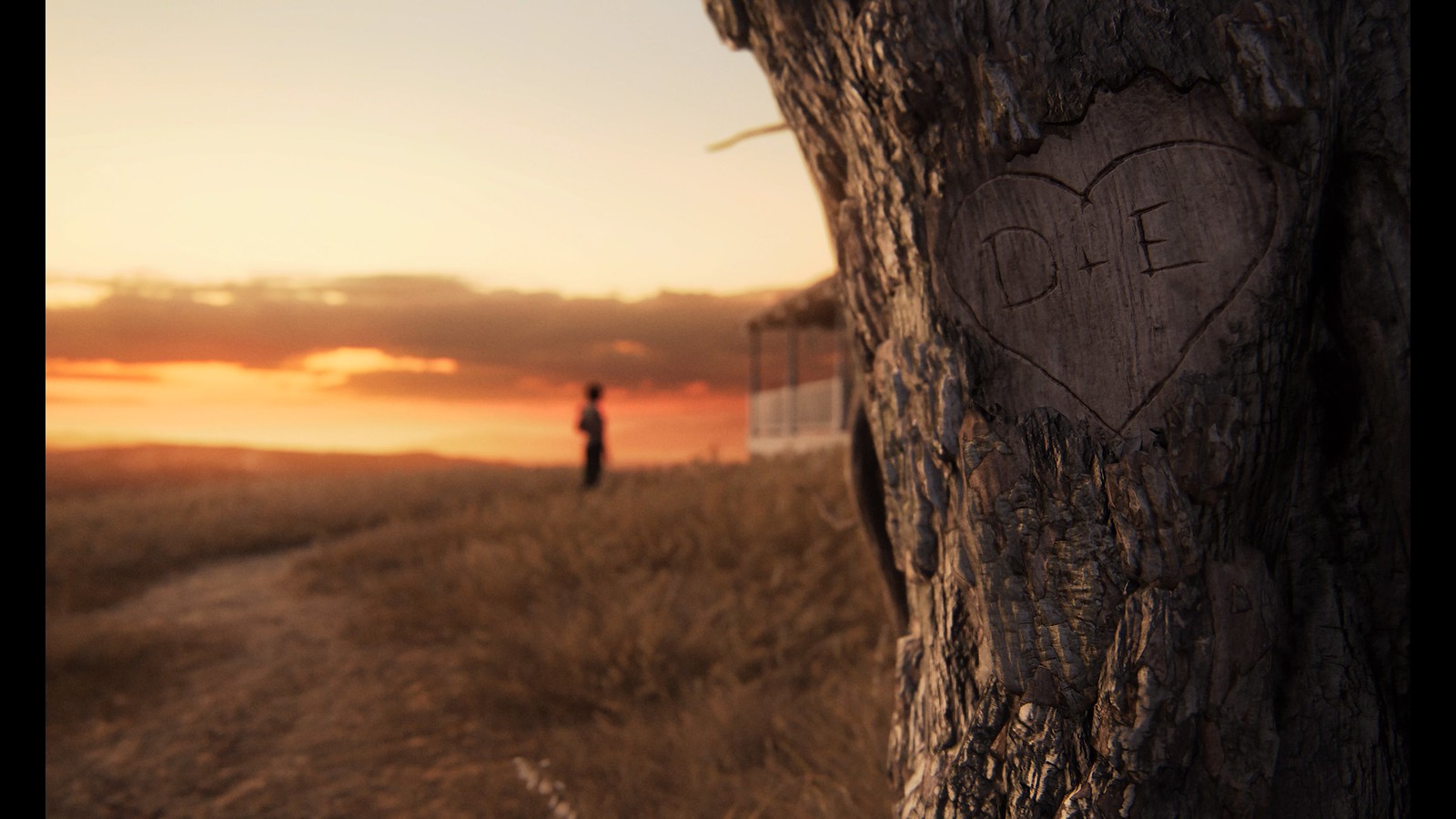 The Last of Us Part II_Tree-1 - Matt Neapolitan