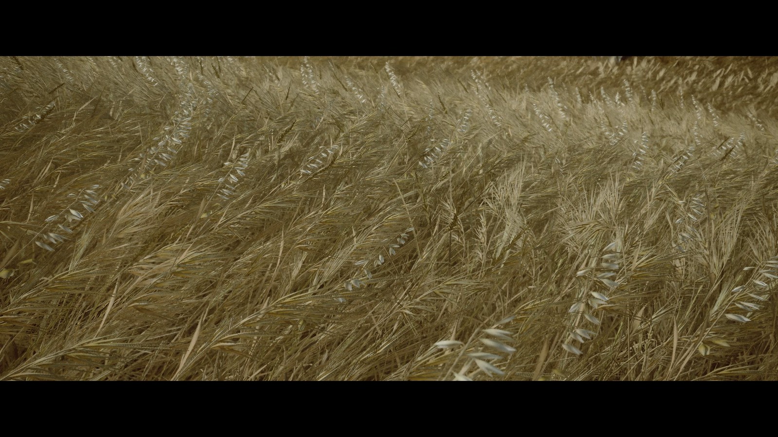 The Last of Us™ Part II_John Sweeney_20200627183021