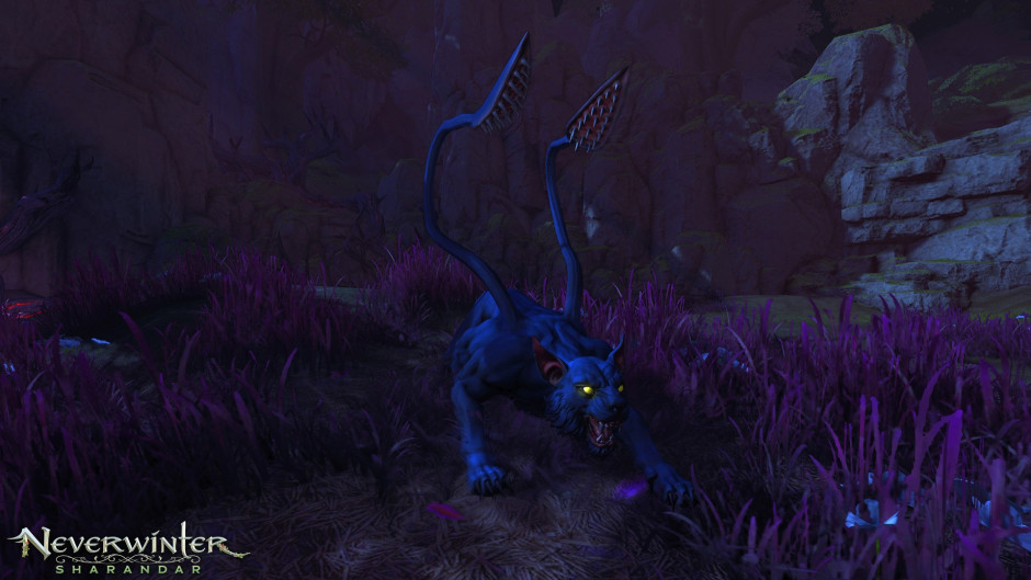 Neverwinter