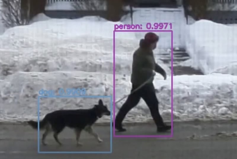 A machine learning image with a human and a dog circled in different colours