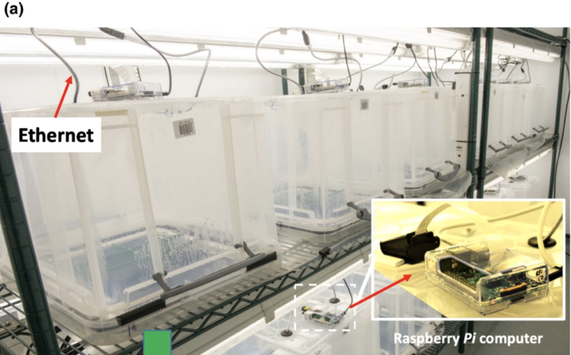 Close up of seed germ set up 1