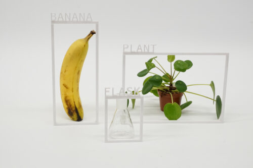 A banana, a glass flask, and a potted plant on a white surface. Each object is surrounded by a white rectangular frame with a label identifying the object.