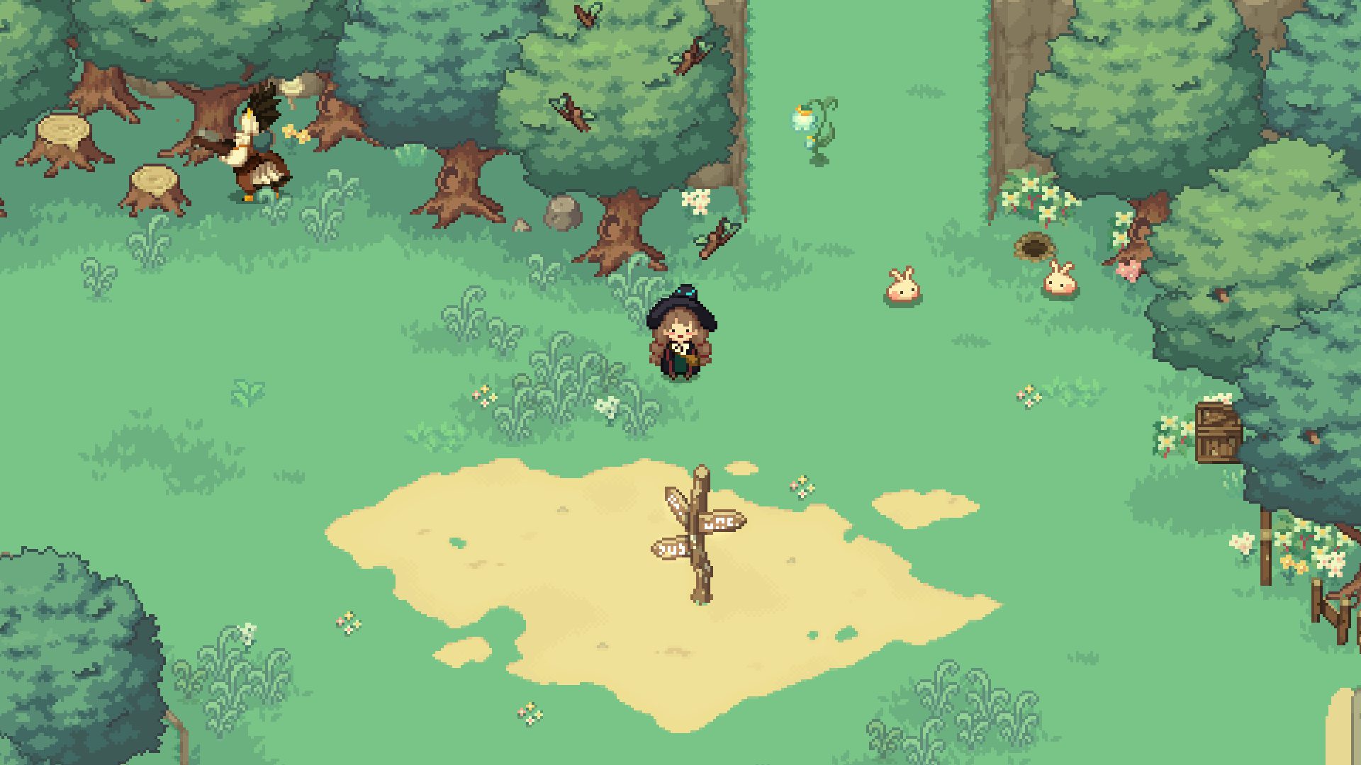 Little Witch in the Woods
