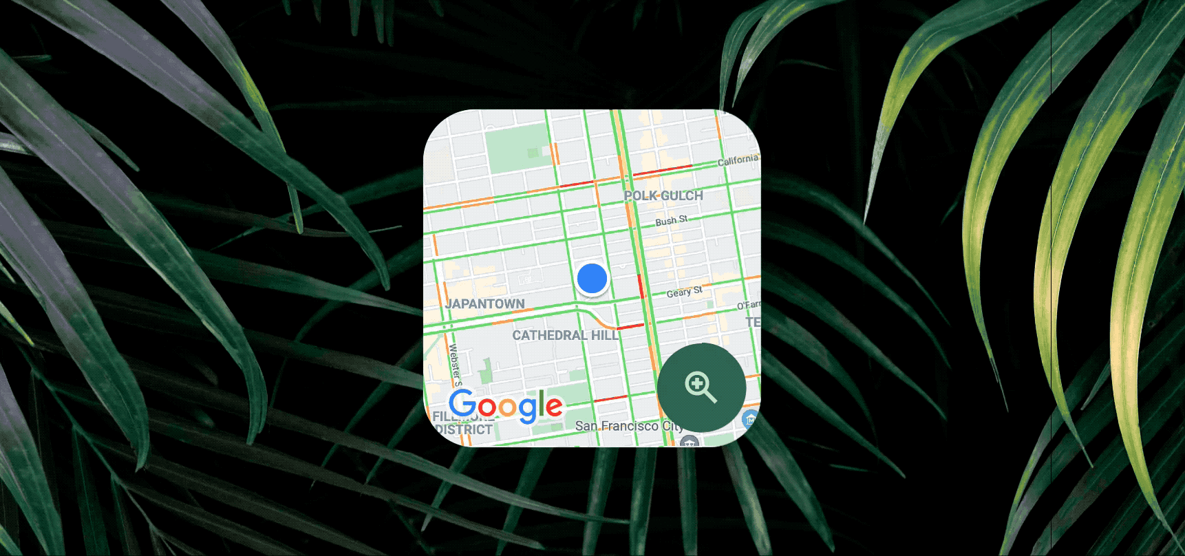 Dark green Android wallpaper showing a bamboo palm with the Google nearby traffic widget laid over the top. The widget shows a local map of traffic levels and zooms in and out.