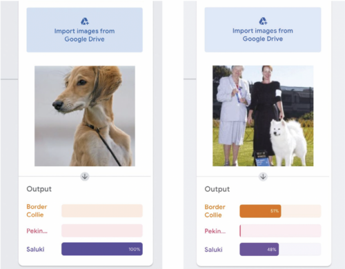 Screenshots from Teachable Machine showing photos of dogs classified as specific breeds with different degrees of confidence by a machine learning model.