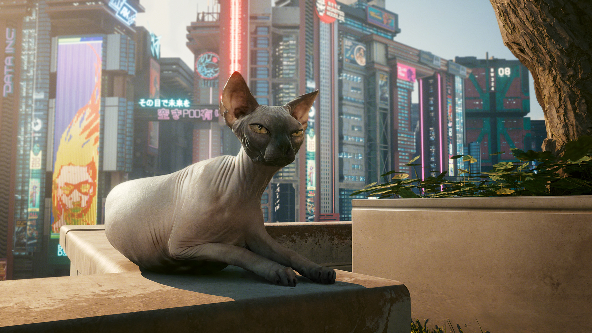 Cyberpunk 2077 - Edgerunners