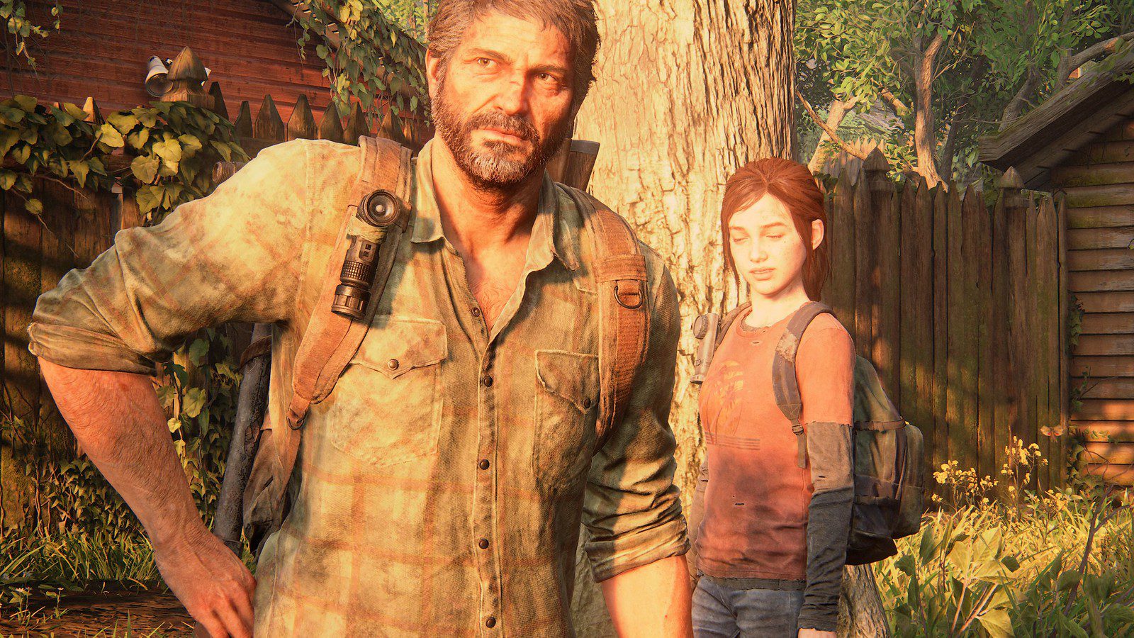 The Last of Us Part I: Photo Mode detailed