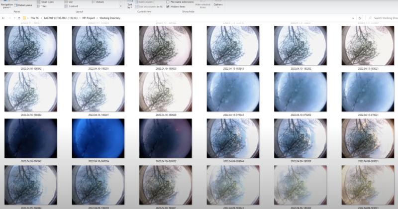 Observing trees through the seasons with ForestryPi