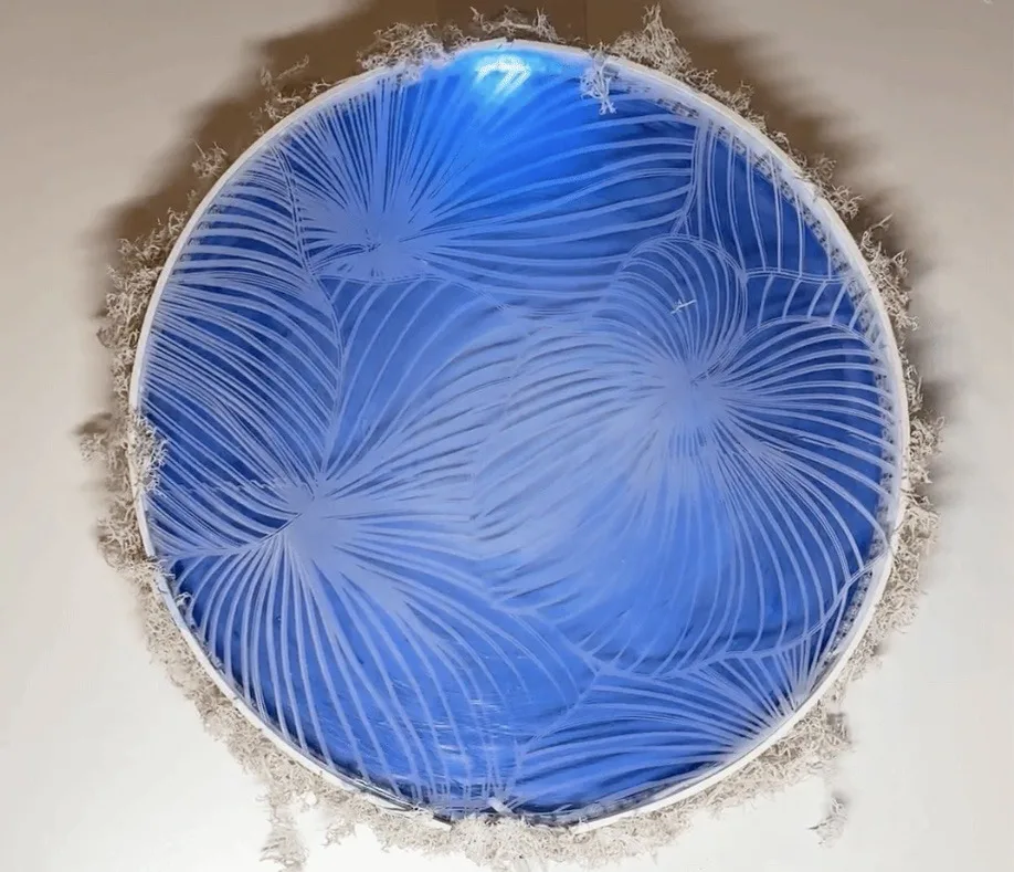 This nature-inspired display reacts to ambient sounds